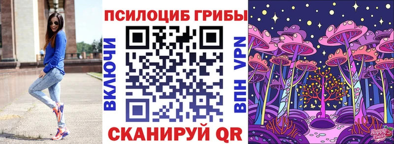 Псилоцибиновые грибы мицелий  дарк нет клад  Пушкино 